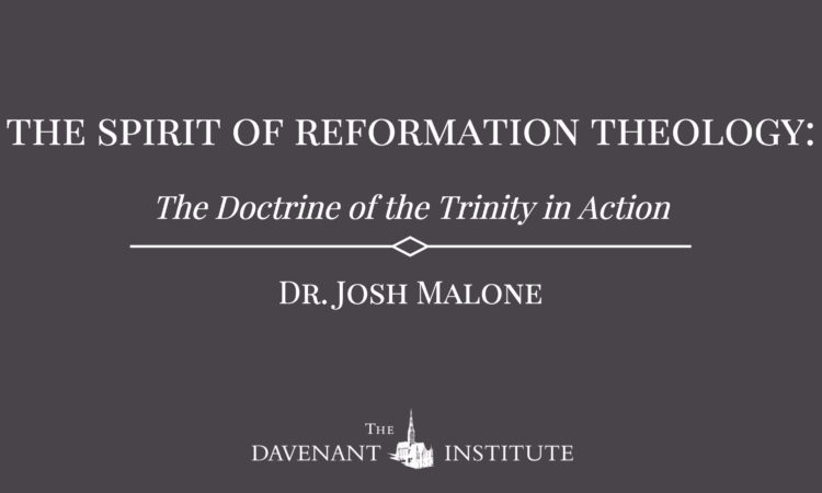 The Spirit of Reformation Theology: The Doctrine of the Trinity in Action